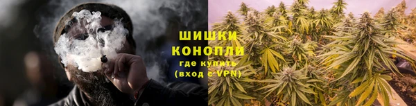 apvp Богданович