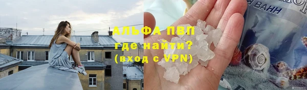 apvp Богданович