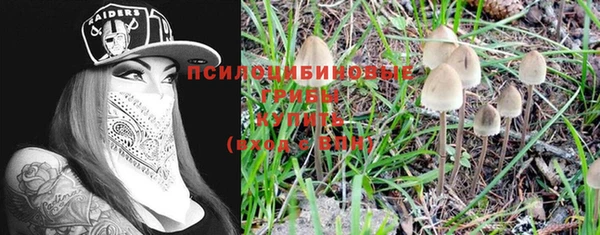 гашик Богородицк