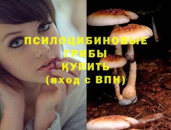 гашик Богородицк