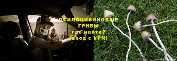 ECSTASY Богородск