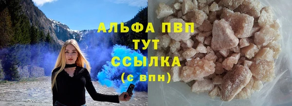 apvp Богданович